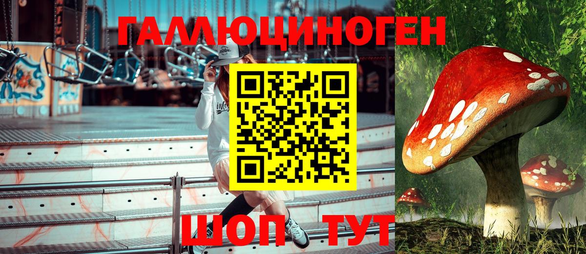 Галлюциногенные грибы мухоморы Майский